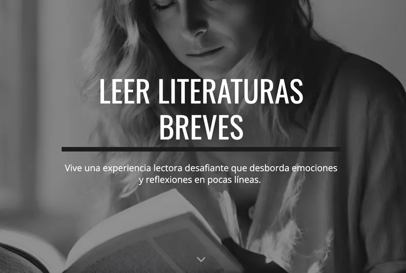 Curso Leer literaturas breves